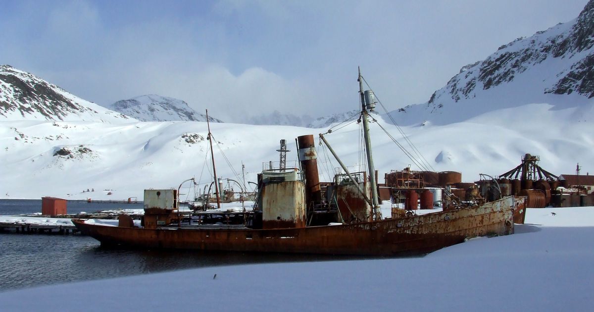 Антарктика