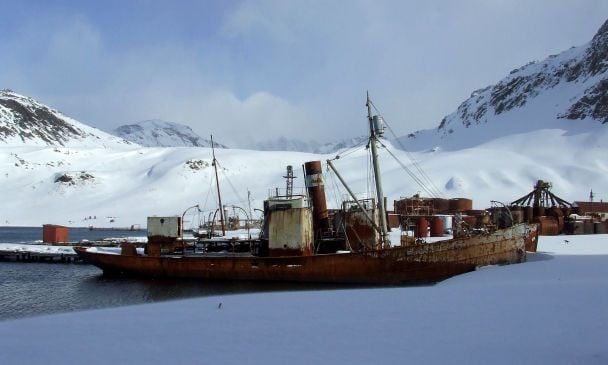 Антарктика тане знизу: вчені попередили про нову загрозу для крижаних шельфів