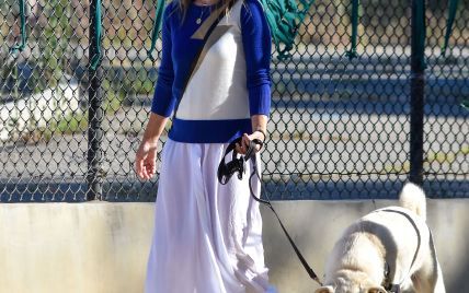 Блиснула ногами у прозорій спідниці: Олівія Вайлд на прогулянці з собакою