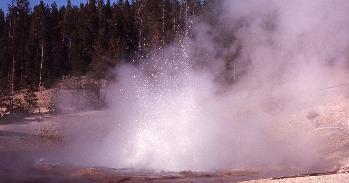 Гейзер Эхниус. Фото: Брайан Гарри