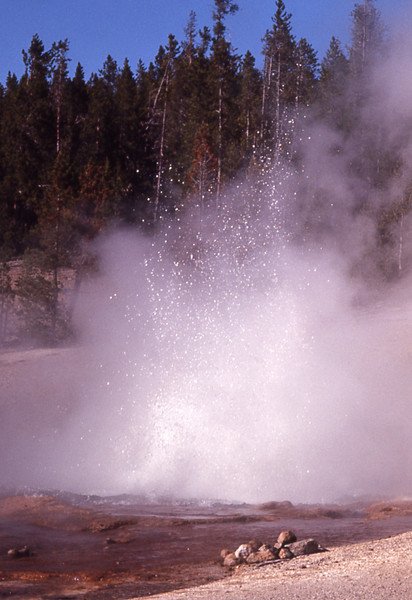 Гейзер Эхниус. Фото: Брайан Гарри