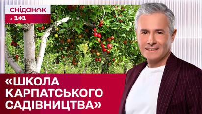Високогірний сад на Косівщині! Як прикарпатський підприємець зберігає рідкісні фруктові дерева?