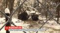 Родина бурих ведмедів, яких врятували з тісної клітки зоопарку, вперше впала у зимову сплячку