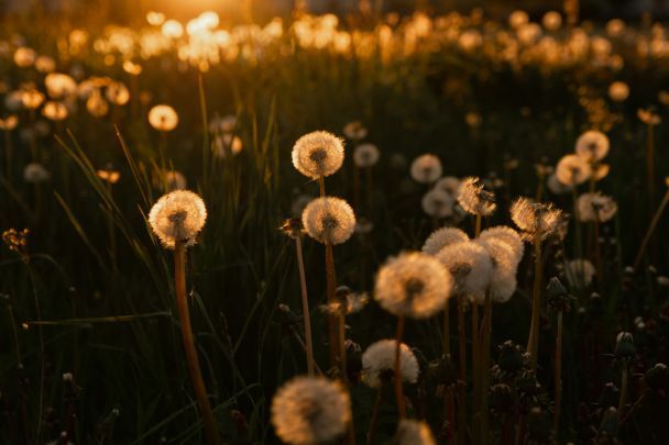 Народні прикмети 13 травня / © Unsplash