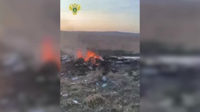 У Підмосков'ї розбився легкомоторний літак: є жертви