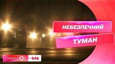 Туман на дороге: что нужно знать водителям и пешеходам
