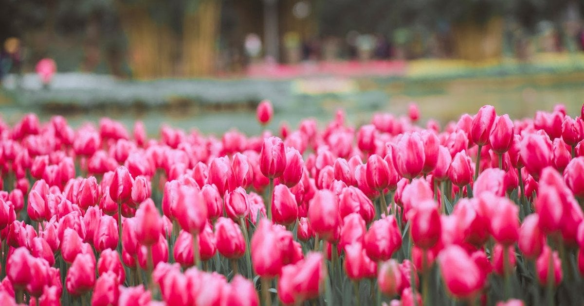Який сьогодні, 31 березня, день ангела