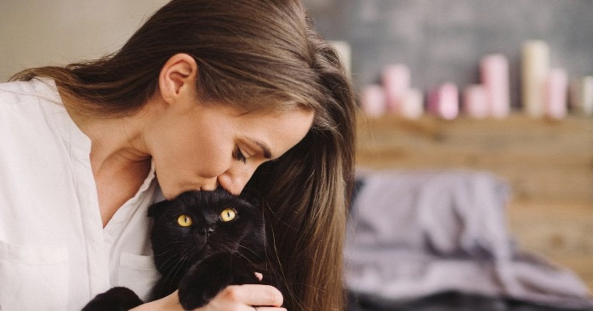 Любителі котів