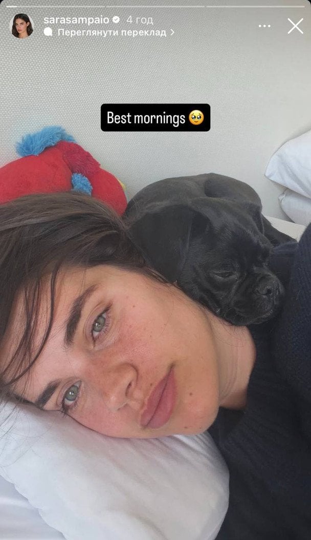 Собака Сари Сампайо / © Instagram Сари Сампайо