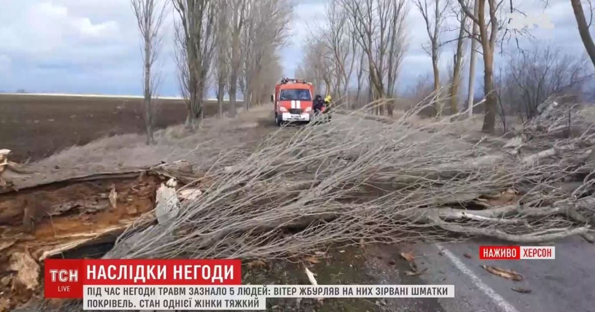 В Херсоне из-за урагана пострадали пять человек: одна женщина находится в коме