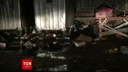 Сотни крыс рыщут по улицам Киева