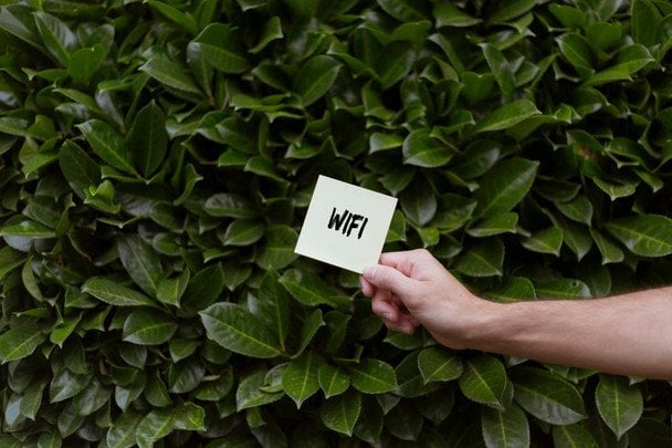 20&nbsp;червня Всесвітній день Wi-Fi / © pexels.com