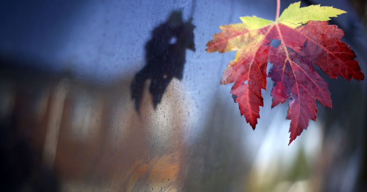 22 жовтня: який сьогодні день, свято, прикмети, традиції, День ангела