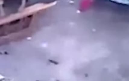 В Колумбии кошка спасла годовалого малыша от смерти