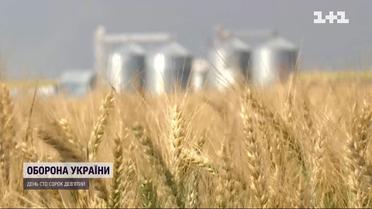 Як українське зерно стало фактором світової політики