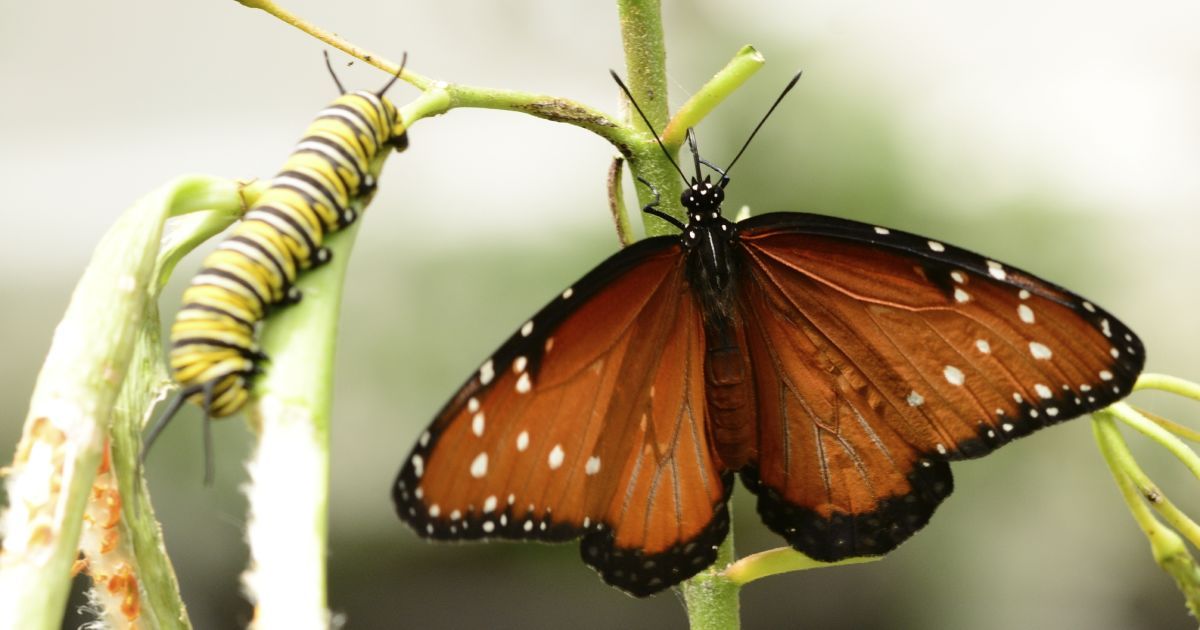 Как изменить жизнь к лучшему