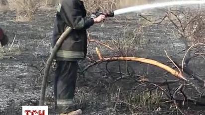 У Бортничах вигоріло до 15 га сухостою