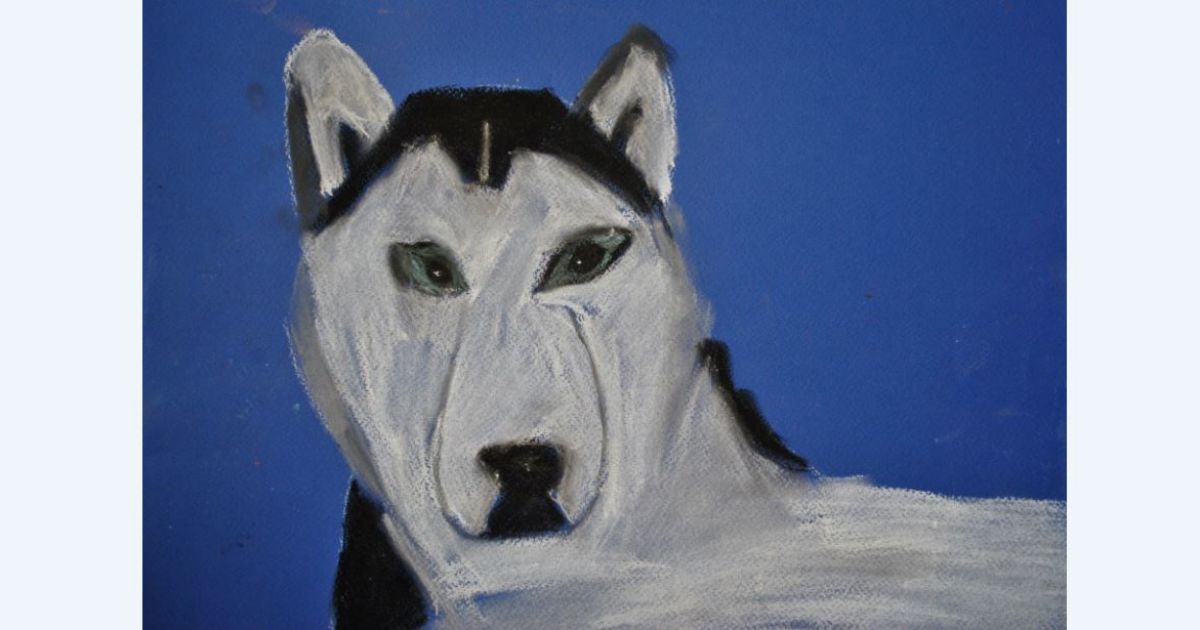 Смотрите онлайн "собакострим", посвященный Дню защиты детей