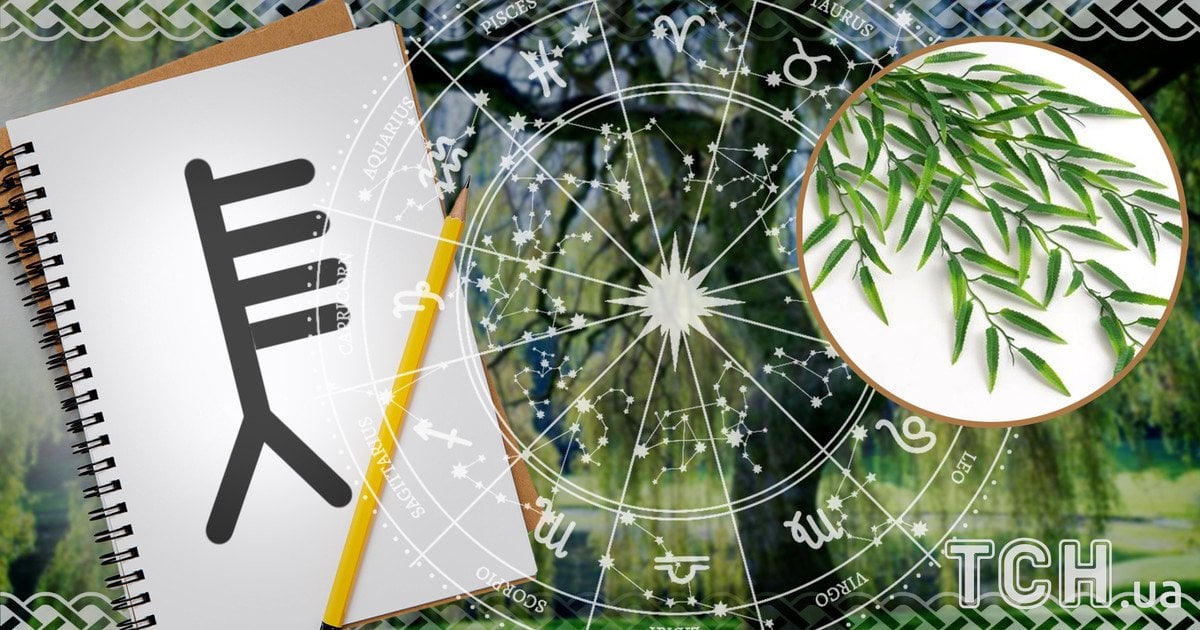 Кельтський гороскоп дерев