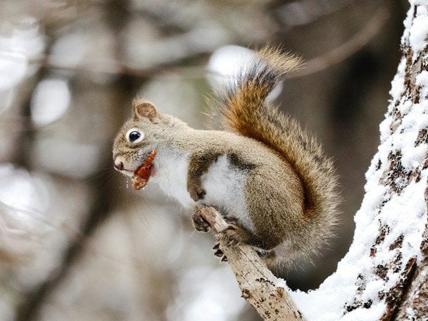 Народні прикмети 3 січня / © unsplash.com