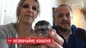 В американском штате Орегон родился котенок с двумя мордочками