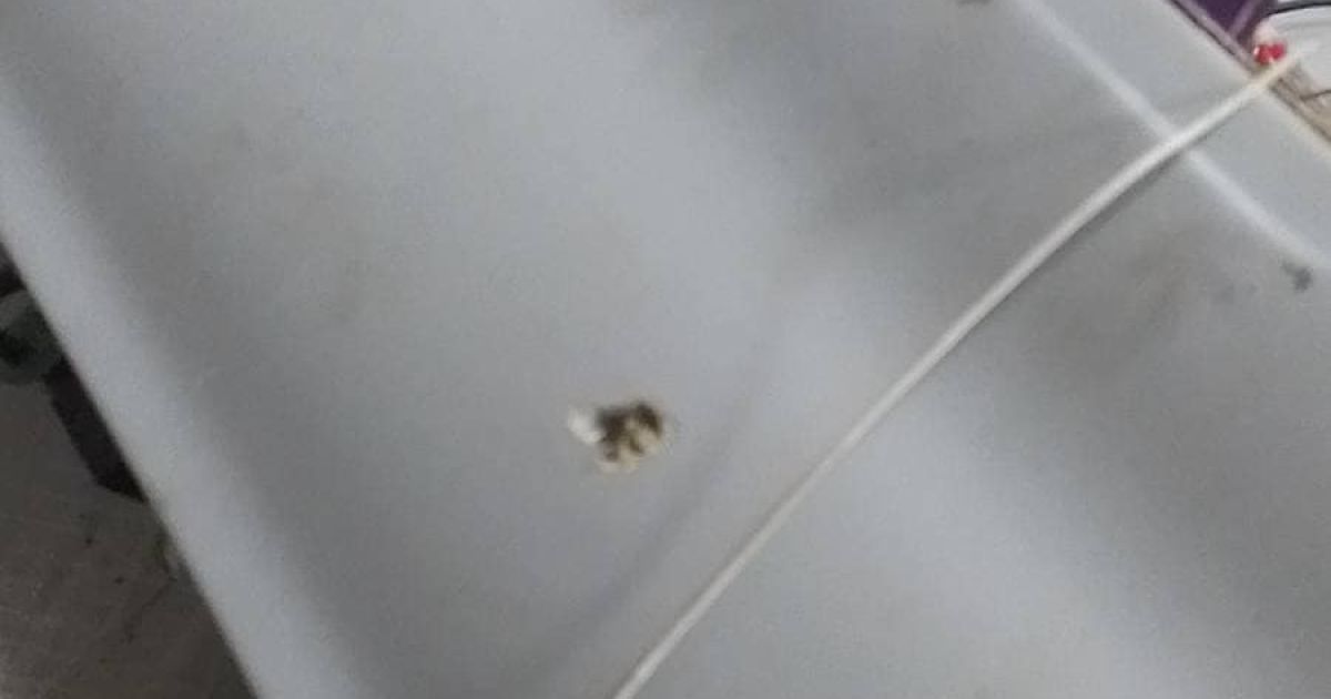 фото николаевских военных