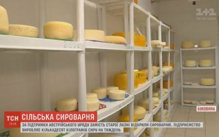 В селе на Буковине общую баню превратили в сыроварню с европейскими технологиями