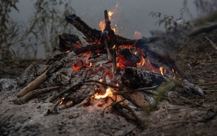 Зола чи попіл