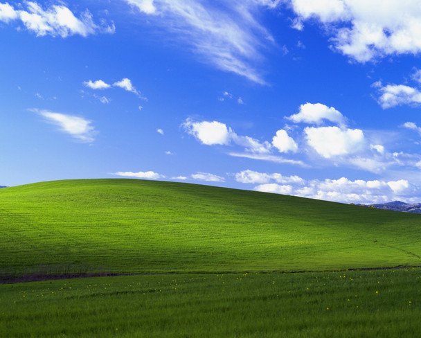 Фото, которое видел каждый: что стало с холмами из заставки Windows XP