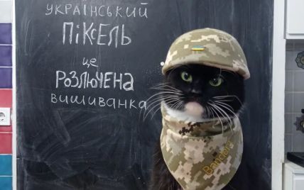 Український піксель - це розлючена вишиванка: новий образ кумедного кота Бандери
