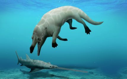 В Египте обнаружили окаменелые останки четвероногого кита, который наводил ужас миллионы лет назад