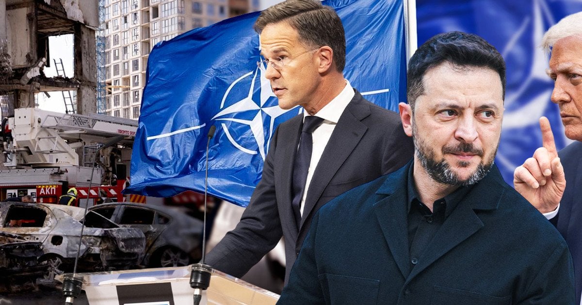 Що Україна зможе привезти з саміту НАТО в Анкарі, де всі намагатимуться задобрити Трампа.