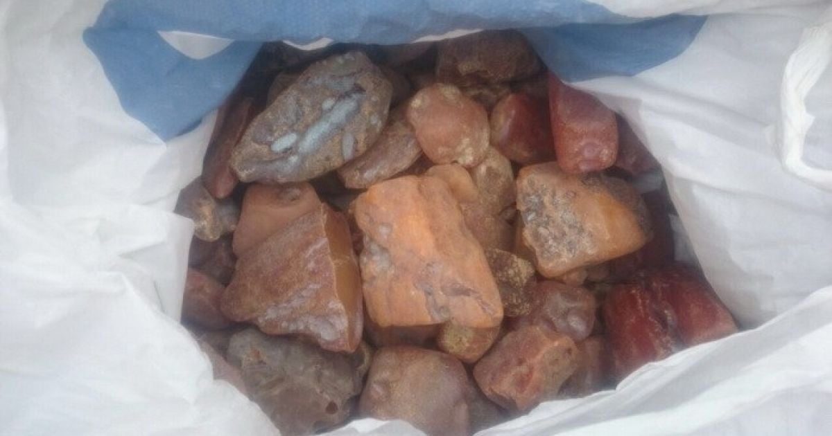 На Ровенщине задержали скупщиков незаконно добытого янтаря