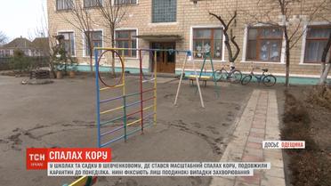 Через спалах кору у школах та дитсадку на Одещині продовжили карантин