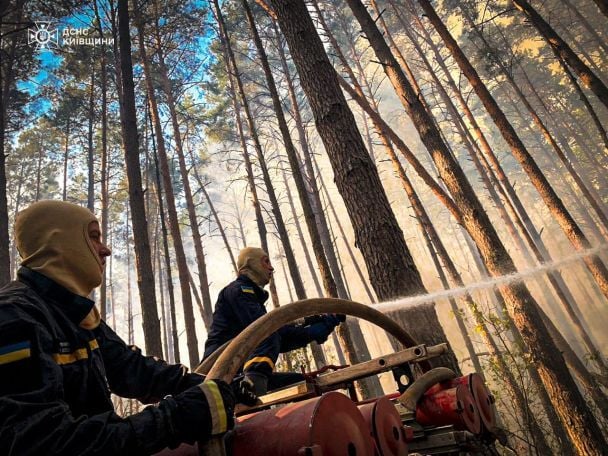 Новий осередок великий і його наразі ліквідовують на заході Зони відчуження, впритул до кордону з Житомирською областю / © 