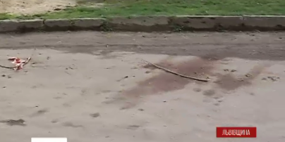 На Львовщине обнаружили подозреваемых в жестоком убийстве милиционера