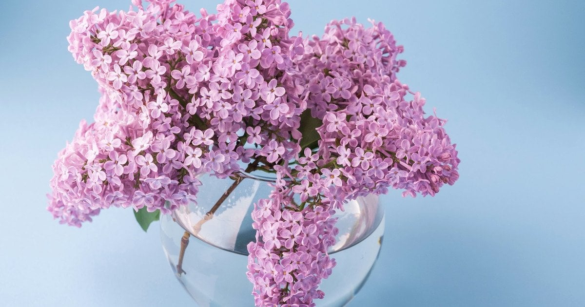 Календарь праздников на май 2026 года