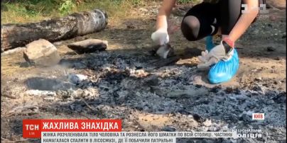 Женщина расчленила тело мужчины и разнесла его куски по всей столице