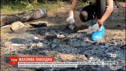 Женщина расчленила тело мужчины и разнесла его куски по всей столице
