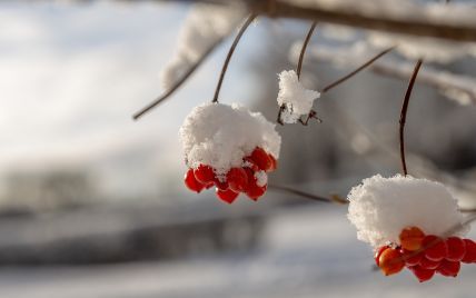 Синоптики рассказали, когда во Львове выпадет первый снег