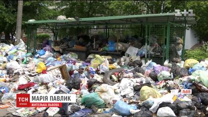 На грани экологической катастрофы: городской голова Львова готов объявить чрезвычайное положение