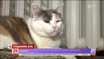 Украинцы мерзнут в квартирах в ожидании отопления