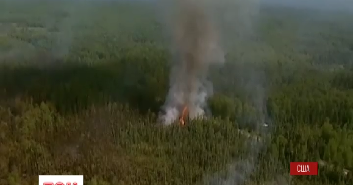 Ліси Аляски продовжують палати