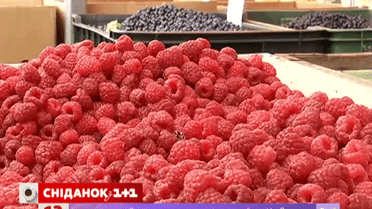 Сезон клубники и черешни уже заканчивается