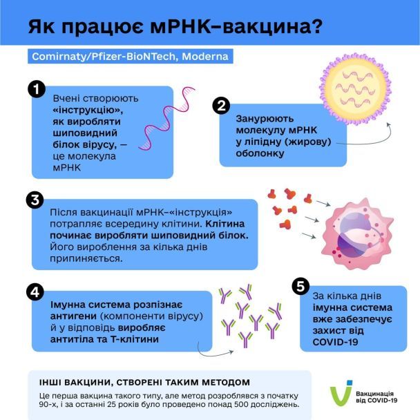 мРНК-вакцина - Comirnaty/Pfizer-BioNTech