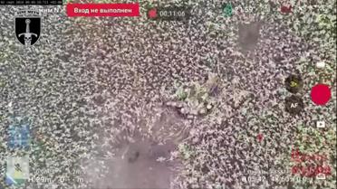 ЗСУ епічно розгромили групу російських штурмовиків: відео