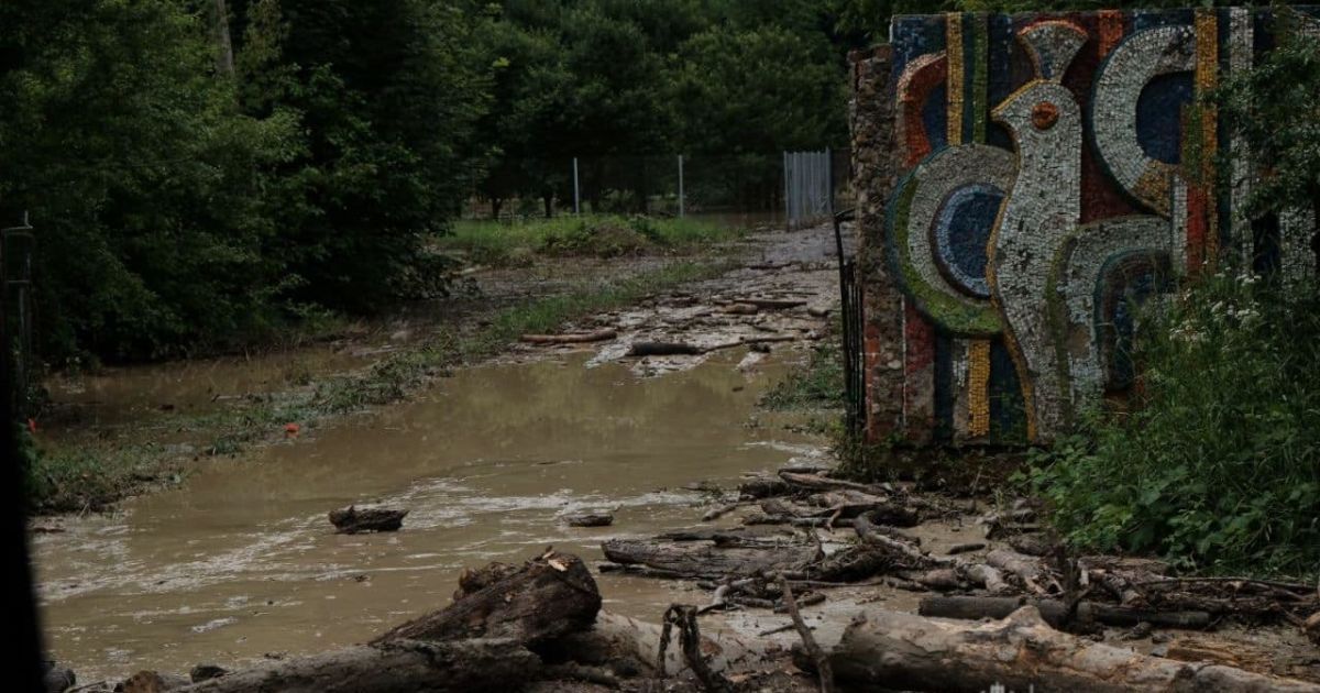Паводок на Буковині, підтоплення у Чернівецькій області_4 / © Чернівецька ОДА у Facebook