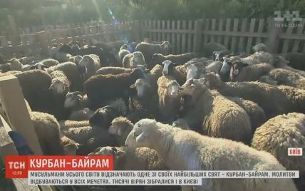 Курбан-Байрам: в киевской мечети отмечают день жертвоприношения