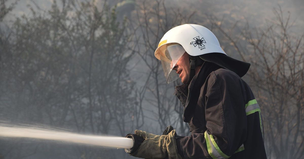Пожежа в заповіднику Миколаєва_3, пожежник, пожежа / © Державна служба України з надзвичайних ситуацій у Миколаївській області