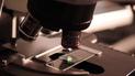 Наукові дослідження